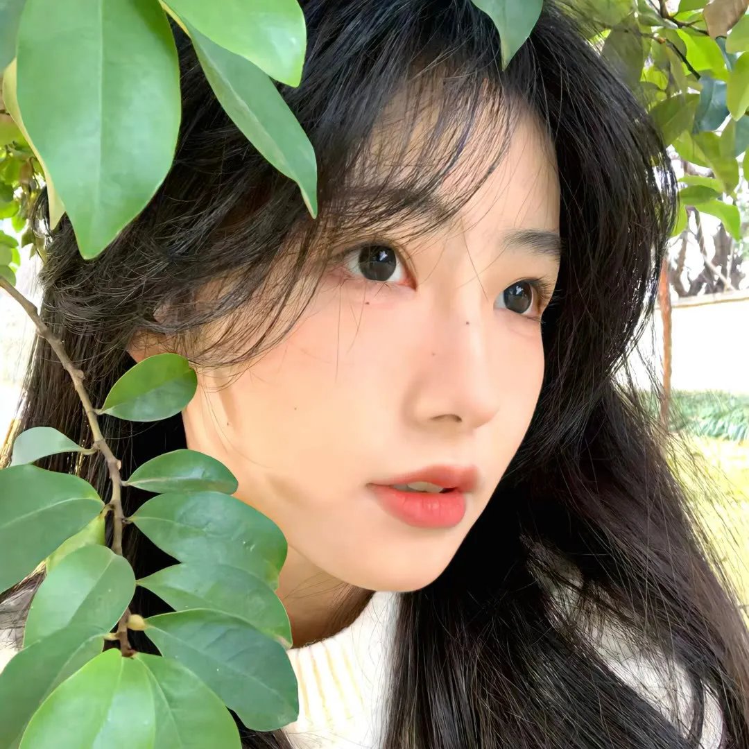 青春飞一般